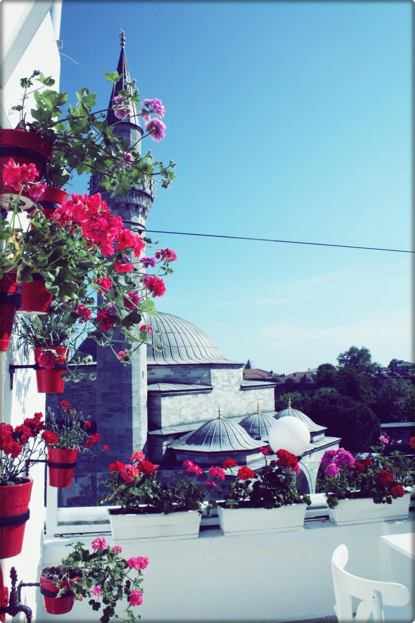 Hotel Sultanahmet İstanbul Dış mekan fotoğraf